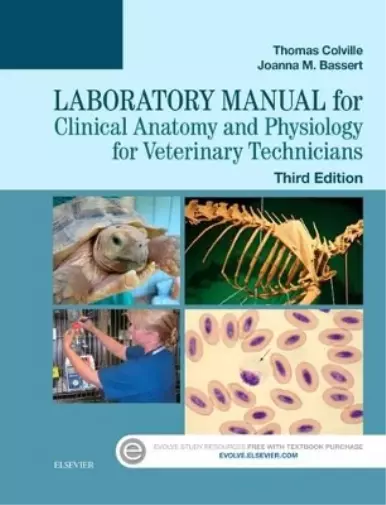 Joanna M. Basse Laboratory Manual for Clinical Anatomy and Physiology fo (Poche)