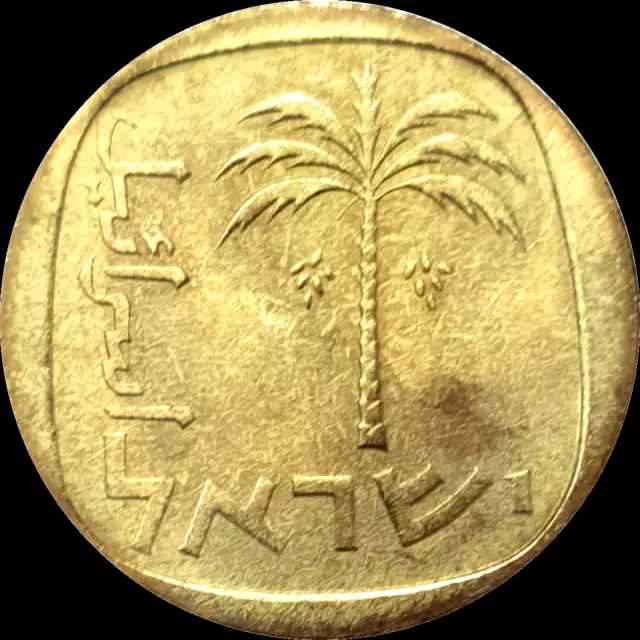 Israel 1962 10 Agorot Agora  Unc Coin Palm Lira Pound Series Free Shipping