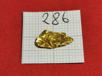 Gold Nugget Alaska Yukon pepite #329 ORO LINGOTTO MONETA COIN 
