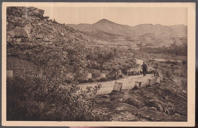 Les BAUX de PROVENCE 13 Troupeau Mouton Berger Route Saint-Rémy CPA animée ~1930