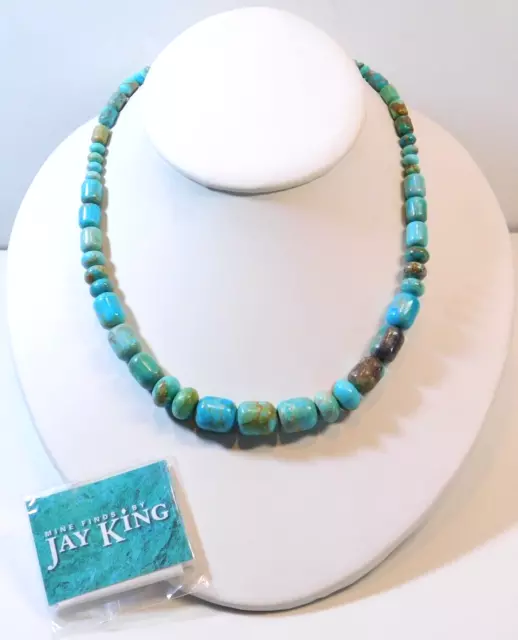 Jay King DTR Mine Finds Sterling Silver Azure Peaks Turquoise Bead Necklace