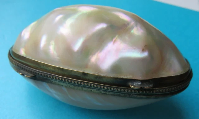 Antique  Large Mother Of Pearl Egg Sewing Thimble Case &  Brass Childs Thimble