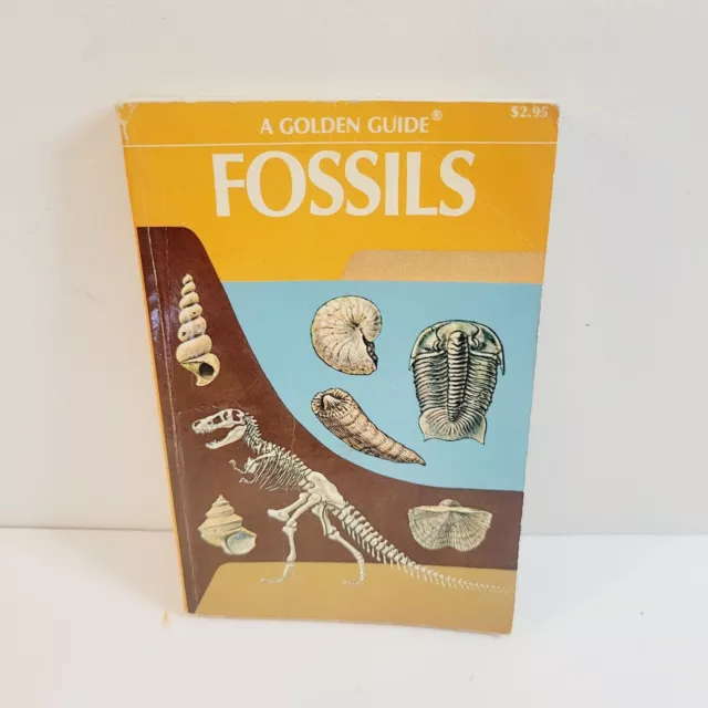 1962 Fossils A Guide To Prehistoric Life Golden Nature Guide Paperback