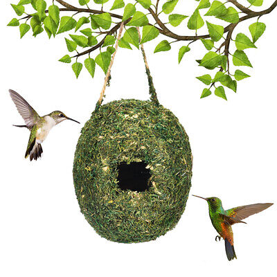Nido de musgo ovalado al aire libre casa colibrí pequeño césped natural colgante pájaro N'YB