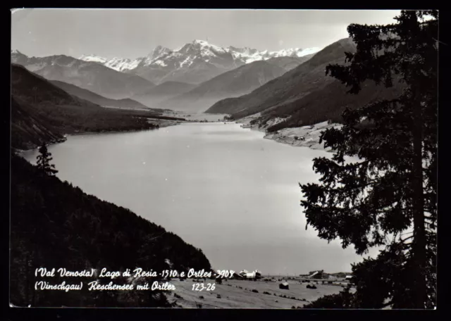 Val Venosta Bolzano Cartolina Lago Di Resia E Ortles Fg Vg 1959 - Ghedina