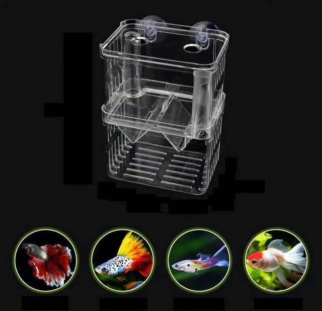 Aquarium Breeder Box Breed Incubator Small Fish Shrimp Hatchery Acrylic Divider