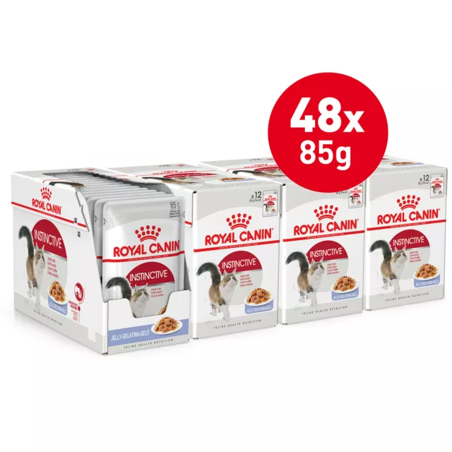 Royal Canin Instinctive In Jelly Adult Pouches Wet Cat Food 85g x 48