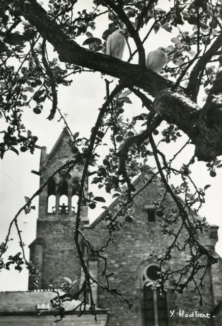 Carte ARCIS LE PONSART Abbaye de Notre Dame d'Igny Tourterelles dans l'arbre