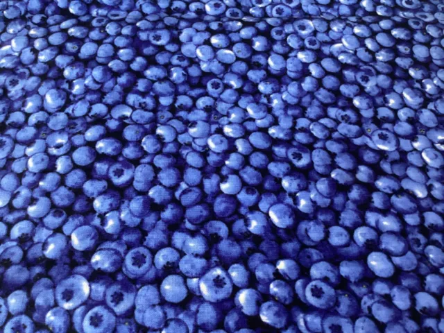 Timeless Treasures Fabrics of Soho Blueberries 0.5 metre by WOF