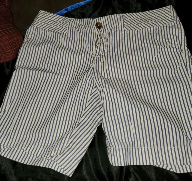 American eagle blue and white striped shorts Womans 12