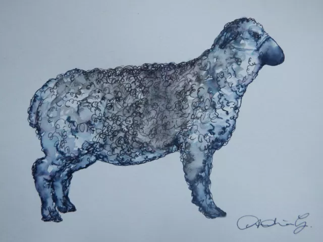 Original black and brown pen & ink wash drawing of a sheep on watercolour paper