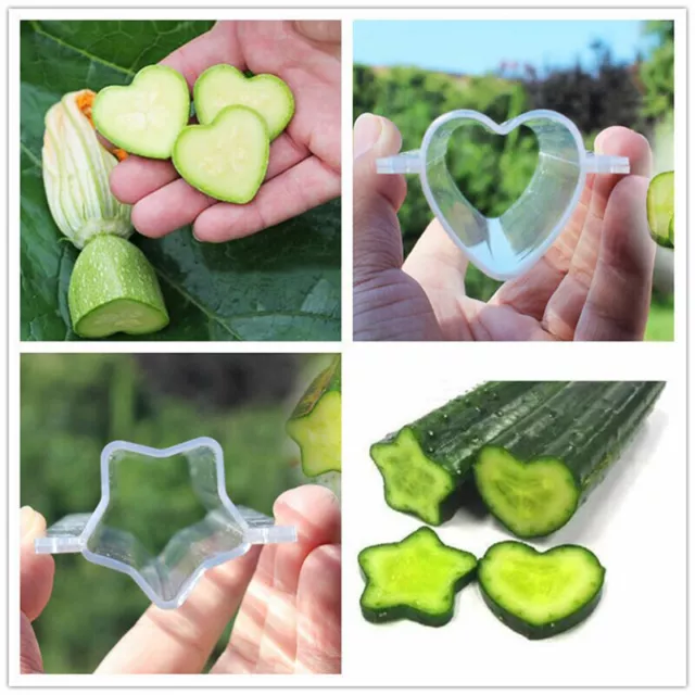 Plastic Cucumber Growth Forming Mold Heart/Star Fruit Shaping Growing MoldT. SN❤