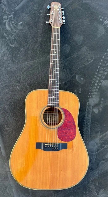 Alvarez 9 string acoustic guitar deals