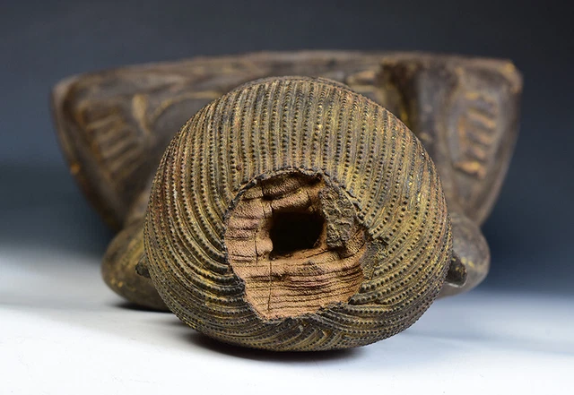 17th - 18th Century, Shan, Antique Burmese Wooden Seated Buddha 14