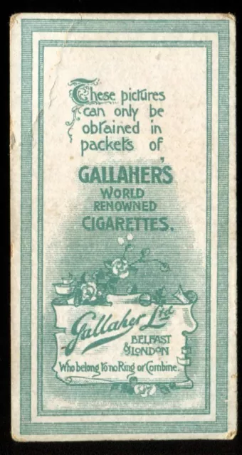 Tobacco Card, Gallaher, BEAUTIES, 1905, Without Insert, #48b 2