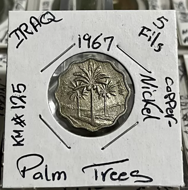 1967 Iraq Republic 5 fils copper-nickel Coin, Hard to Find.العراق
