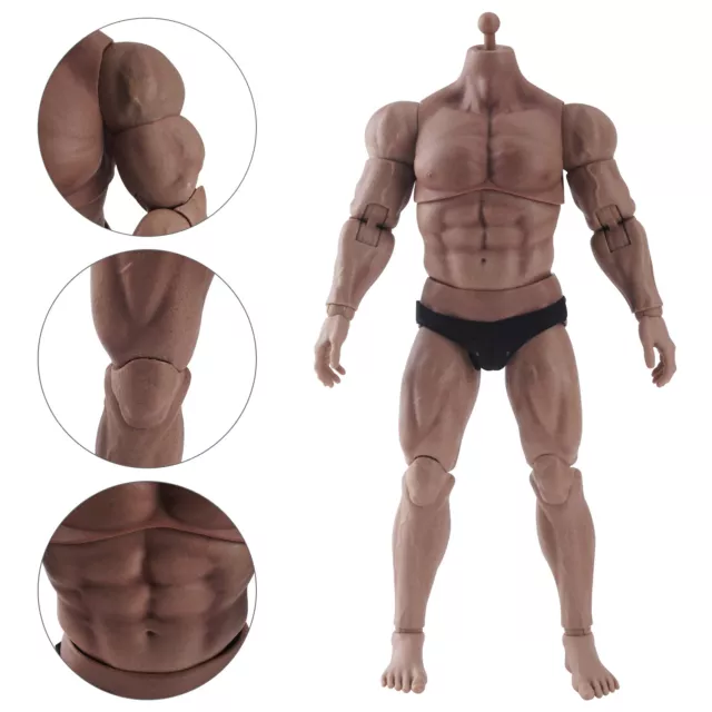WorldBox 1/6 Scale Male Action Figure Body for 12 inch Hot Toys Phicen  TBLeague