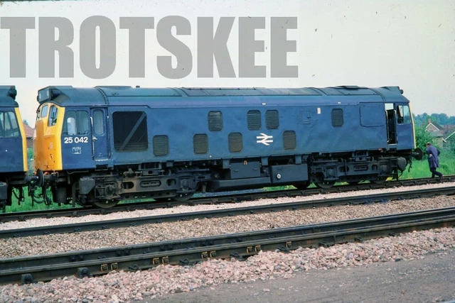 2546 Class 25 BR Rail Blue 25904 Diesel Locomotive