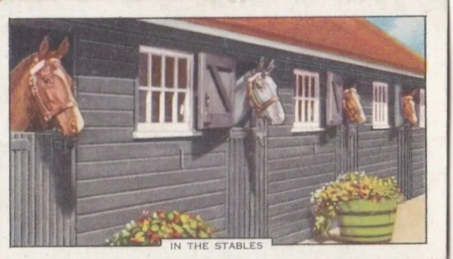 Gallaher Cigarette Card - Racing Scenes 1938 - 7 Stables