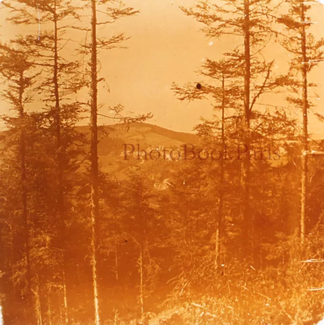 Paysage c1930 Photo Plaque de verre Vintage V28L23n8