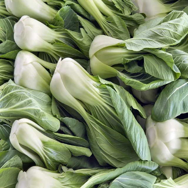Bok Choy Cabbage Seeds | Heirloom | Non-GMO | Fresh Garden Seeds