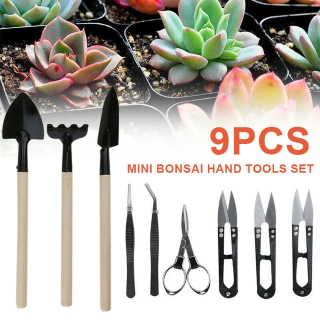 9x Set Garten Bonsai Handwerkzeuge Gartenarbeit Sukkulenten Pflege Mini Werkzeug