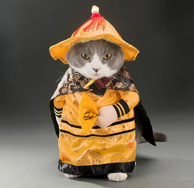 Hundebekleidung Katzen-Outfits Haustier-Halloween-Kleidung Kostüm für Hunde