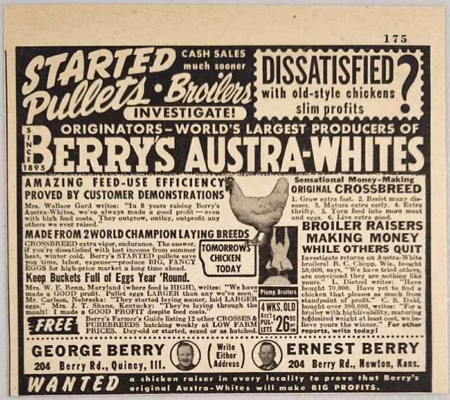 1949 Print Ad Berry's Austra-Whites Pullets-Broilers Chickens Kansas,Illinois