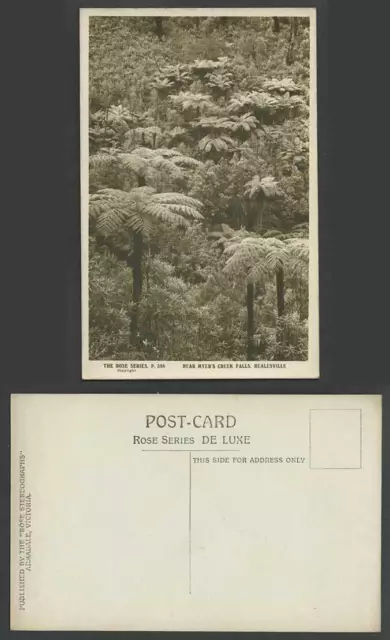 Australien Old R.P. Postkarte Farne Farne Farne Bäume in der Nähe von Myer's Creek Falls Healesville