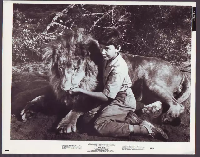 Pamela Tiffin in The Lion (1963) CHILDSTAR ANIMAL