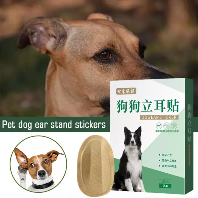 Dog Ear Stand up Stickers Convenient Practical Lightweight Dog New Ear U1 Y6N5