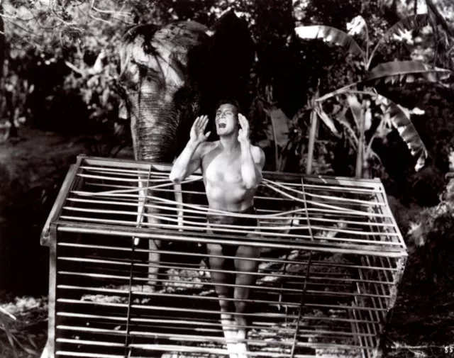 Johnny Weissmuller Tarzan 8x10 photo #K9402