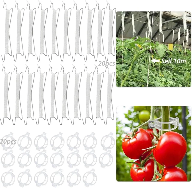 XTDMJ Tomatenhaken-Set, 20 Stück Mit 15 M Schnur & Clips - Zum Hochbinden Von Tomaten, Gurken & Rankpflanzen