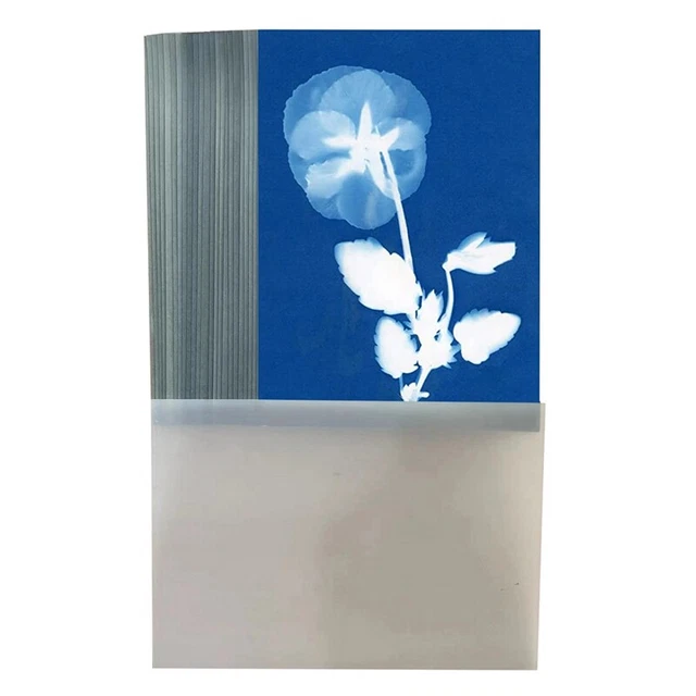 Kit Cianotipia Per Stampe Solari - Include Carta Da Artista, Pennelli E Chimica, Ideale Per Hobby Creativi