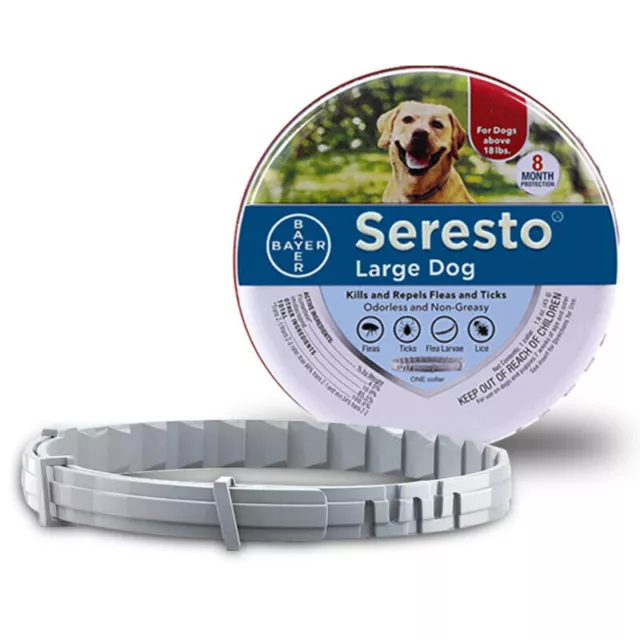 70 cm ^ Collar Antipulgas Y Garrapatas Perro Grande De 8 Meses | Recomendar