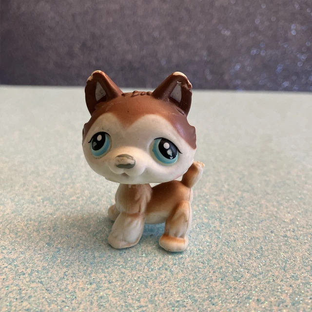 Figurine Littlest Pet Shop Chien Husky #68 - Marron Et Blanc, Yeux Bleus, Hasbro 2006, Occasion