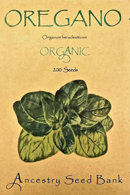 ORGANIC OREGANO ❁ 200 Seeds HEIRLOOM 🌱 Non GMO