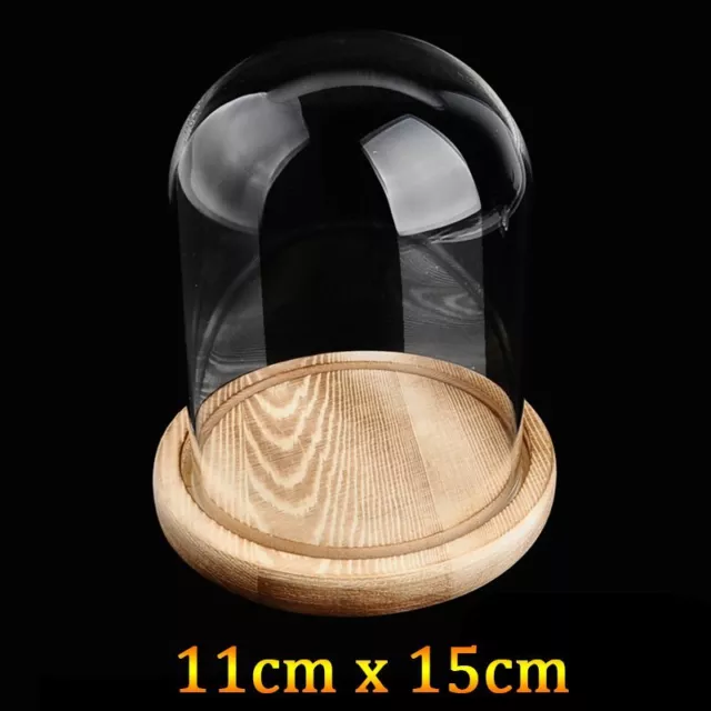 Transparent Glass Dome with Wooden Base Cloche Bell Jar DIY Decor Display Stand