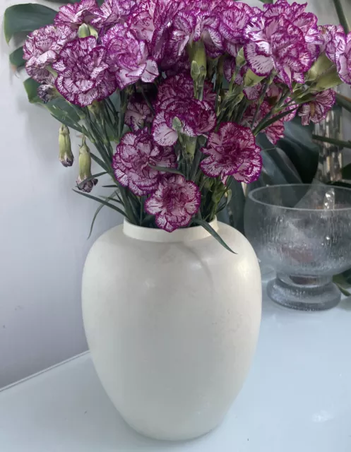 Poole Keramik Calypso Elfenbein Schillernde Glänzende Glänzende Vase 22 Cm Gross Vintage 1970Er Mcm
