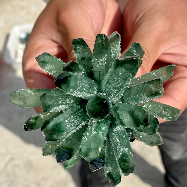 279G New Find Green Phantom Quartz Crystal Cluster Mineral Specimen Healing 3