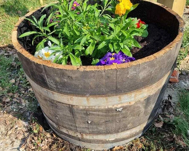 LARGE OAK HALF Wine Barrel Tree Shrub Bush Flower Garden Planter Pot