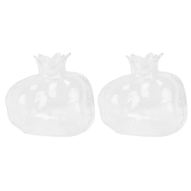 2 Pcs Glass Transparent Terrarium Vase Planters for Indoor Plants