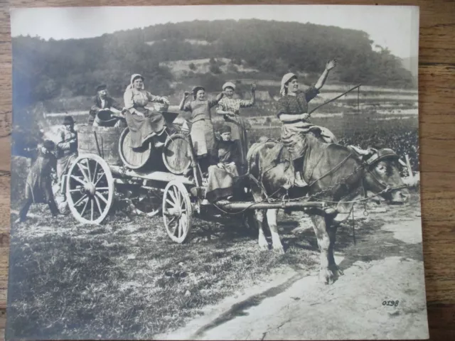 Großes Foto Ukraine um 1917 - Pferd - Bauern - Ernte - Wein - ca. 30x24 cm