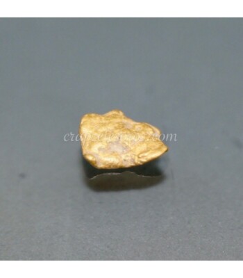 #241-22 10 Pepitas De Oro Natural De Alaska Con Certificado 20ct-23Kt Pepita 