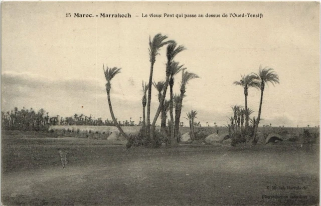 CPA AK MAROC MARRAKECH Le vieux pont qui passe au dessus (10559)