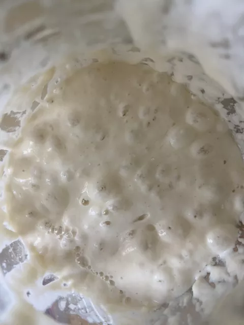 Ultra-Active Fresh Sourdough Starter - Boost Your Baking To The Next Level! 2
