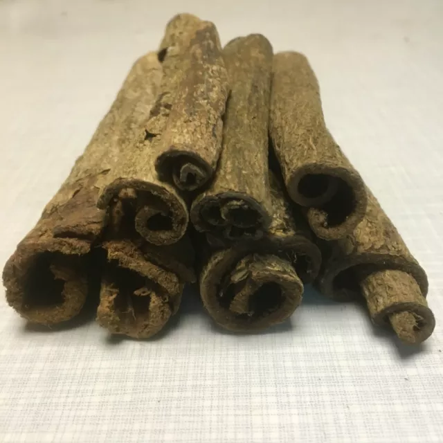 Bark Tubes - catappa Indian almond - ShippingFree! Healthy Aquarium Water Shrimp