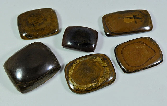 258Cts. Natural Shiva Tiger eye Octagon Cabochon Loose Gemstone 06 Pcs Lot