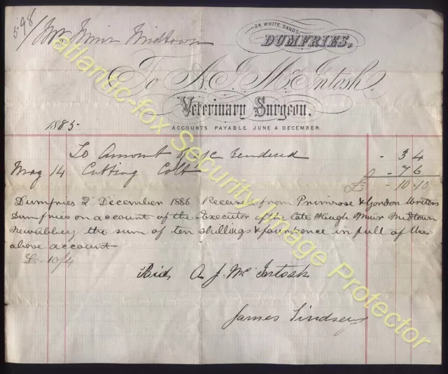 1885 DUMFRIES Veterinary Surgeon A.J.McIntosh of 24 White Sands BILLHEAD