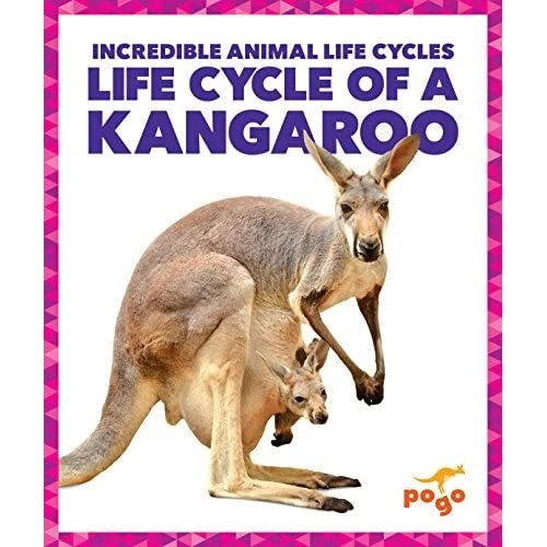 life-cycle-of-a-kangaroo-incredible-animal-life-cycles-hardback-new